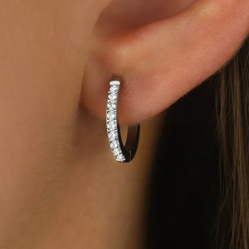 Vanda fv 2 Vanda fv 2