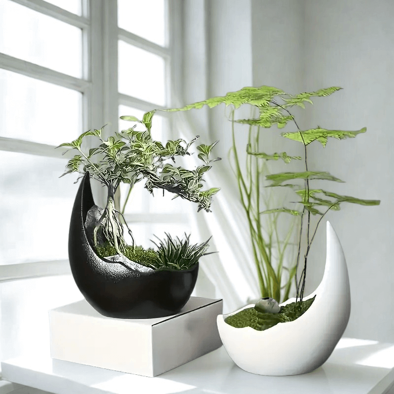 4200e244-b291-4496-a085-13188fd1c1f2 (1)