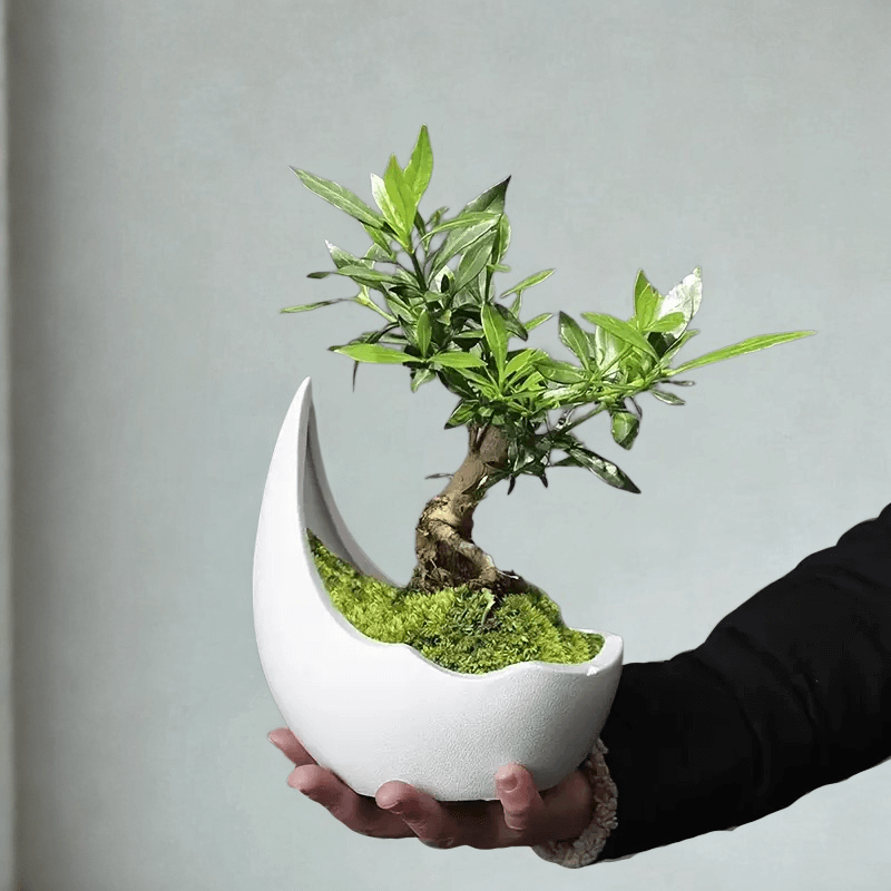 e5a4a28e-34f6-4579-8997-69a313a72e16 (1) e5a4a28e-34f6-4579-8997-69a313a72e16 (1)